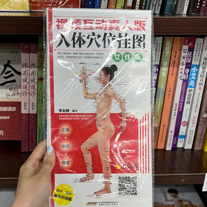 人体穴位挂图 女性版