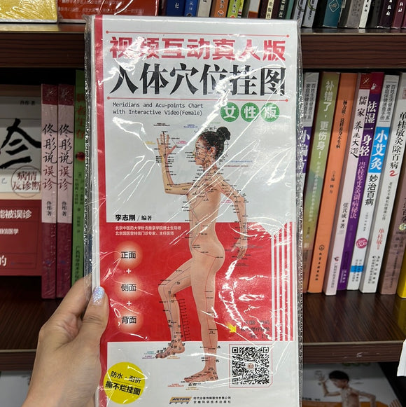 人体穴位挂图 女性版