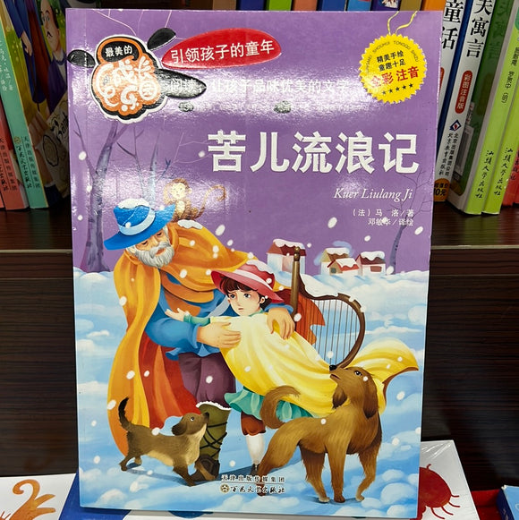 成长乐园：苦儿流浪记