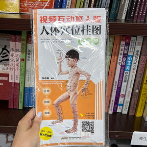 人体穴位挂图 儿童版