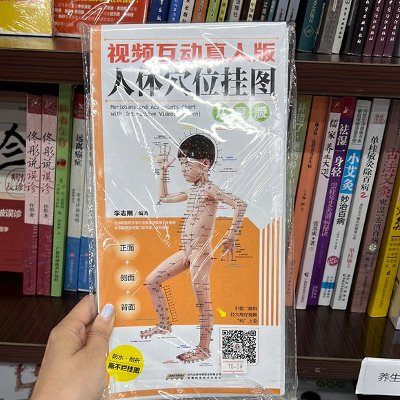 人体穴位挂图 儿童版