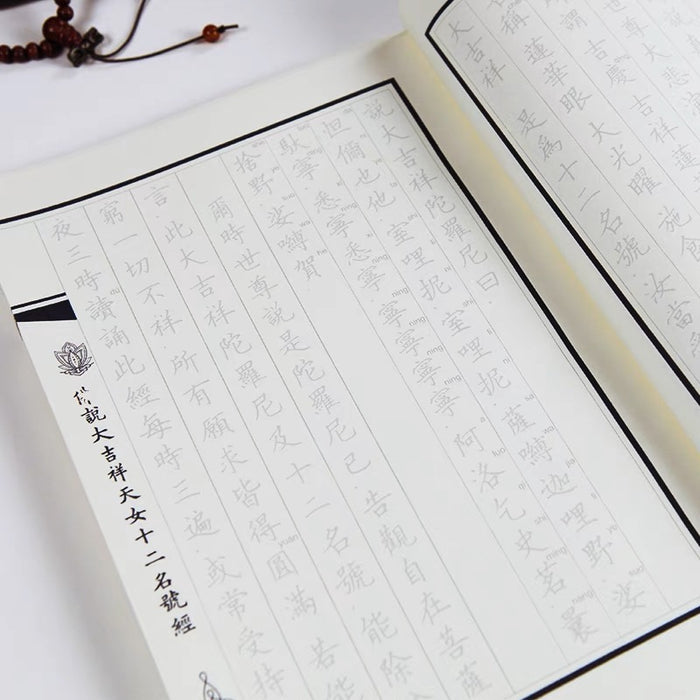 [财宝富饶身心安乐]大吉祥天女咒 描红临摹硬笔