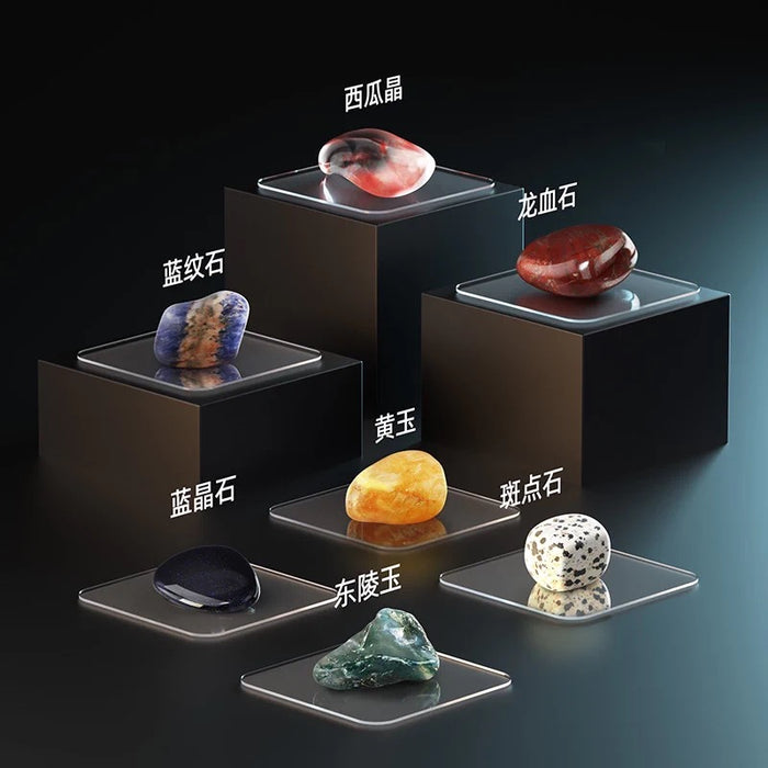 Archaeology Mystery Box地质考古盲盒 真化石 可复检