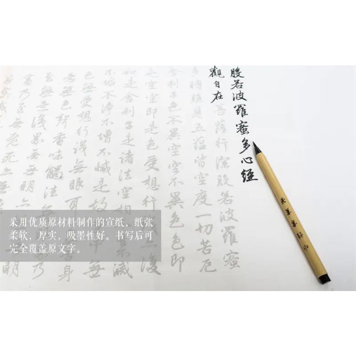 素手抄经套装行书：般若波罗蜜多心经（送日本水性书画笔）