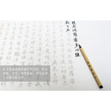 素手抄经套装行书：般若波罗蜜多心经（送日本水性书画笔）