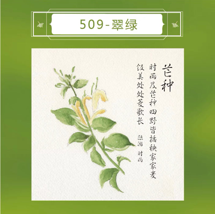 PENBBS INK 坛水二十四节气彩墨 35ml 翠绿 芒种