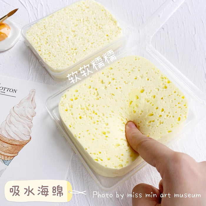 美术吸水海绵 盒装保湿海绵