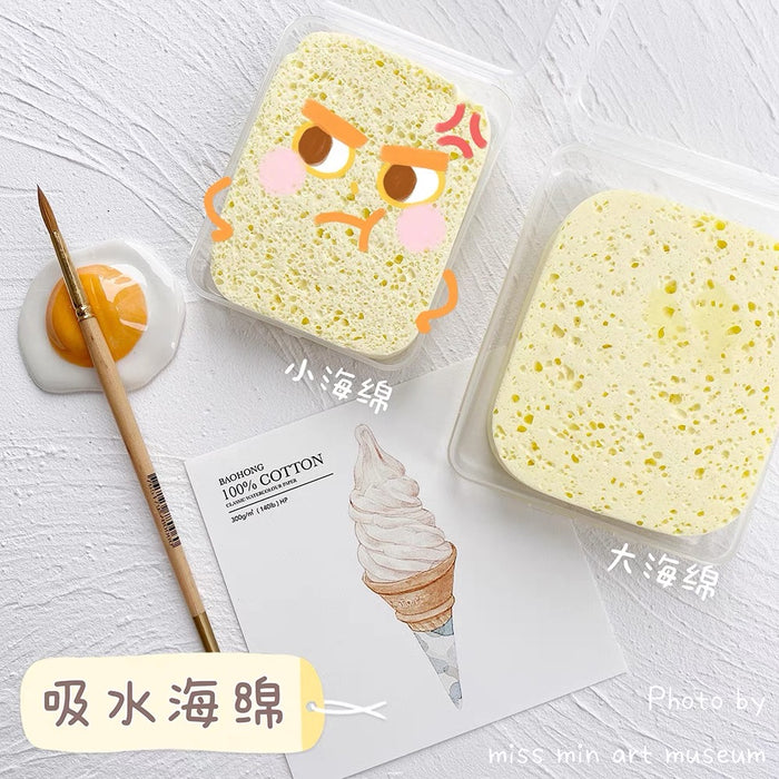美术吸水海绵 盒装保湿海绵