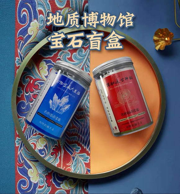 地质考古盲盒 真化石 可复检