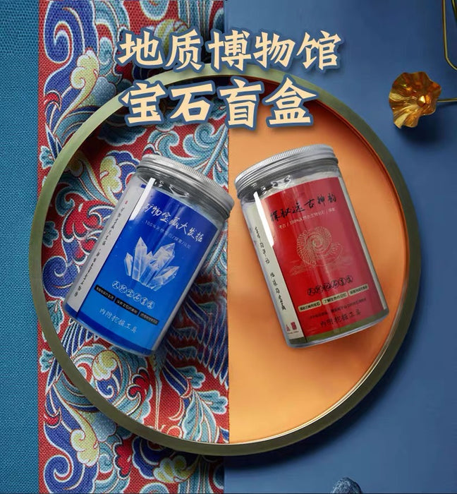 Archaeology Mystery Box地质考古盲盒 真化石 可复检