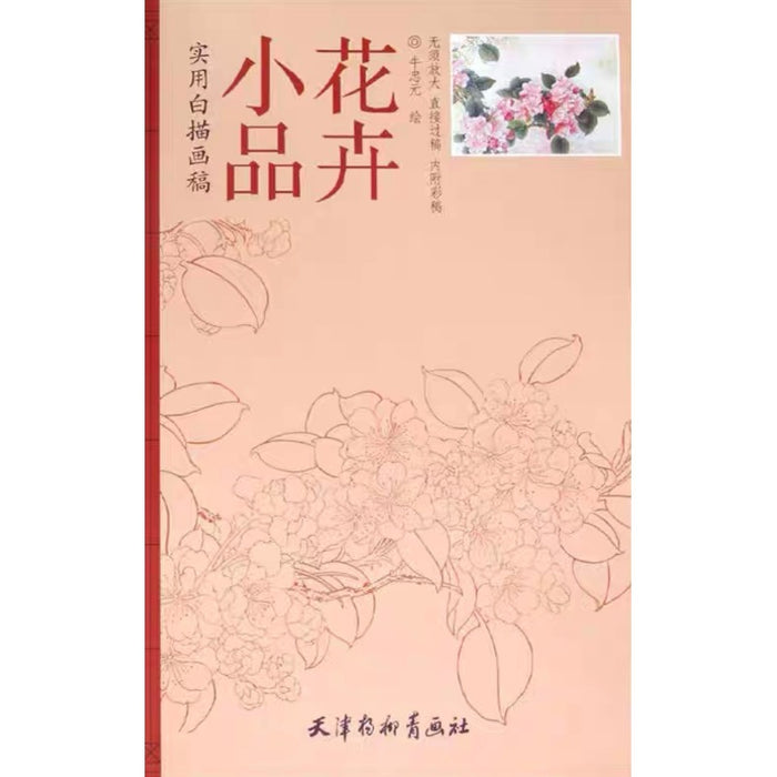 小品花卉 实用白描画稿
