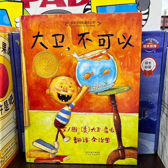 大卫，不可以