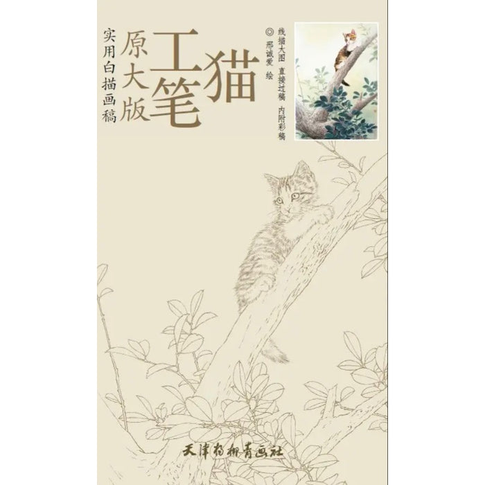 工笔猫 原大版 实用白描画稿
