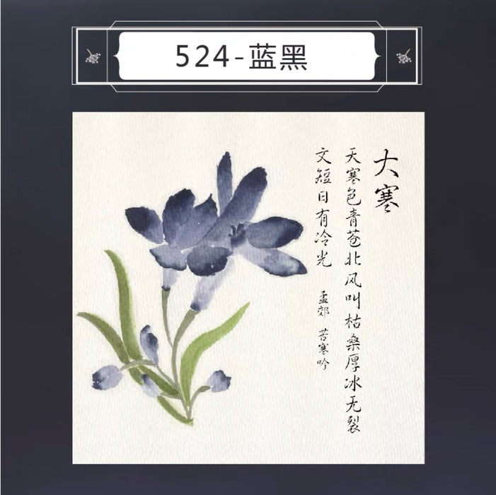 PENBBS INK 坛水二十四节气彩墨 35ml 蓝黑 大寒