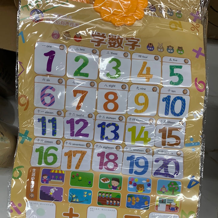 学数字发声挂图