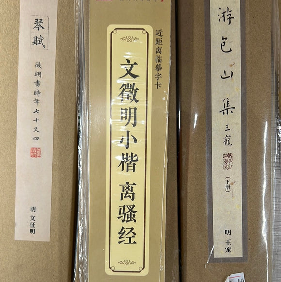 近距离临摹字卡：文徵明小楷 离骚经