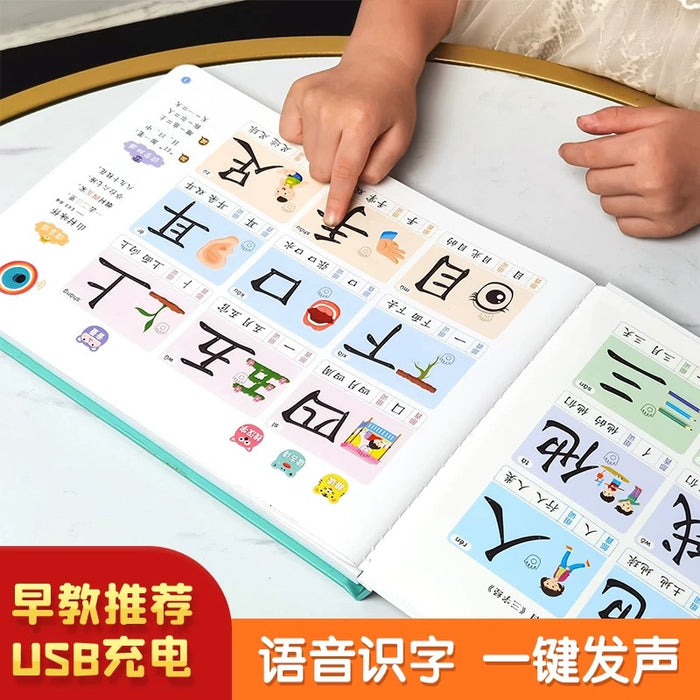 会说话的象形文字