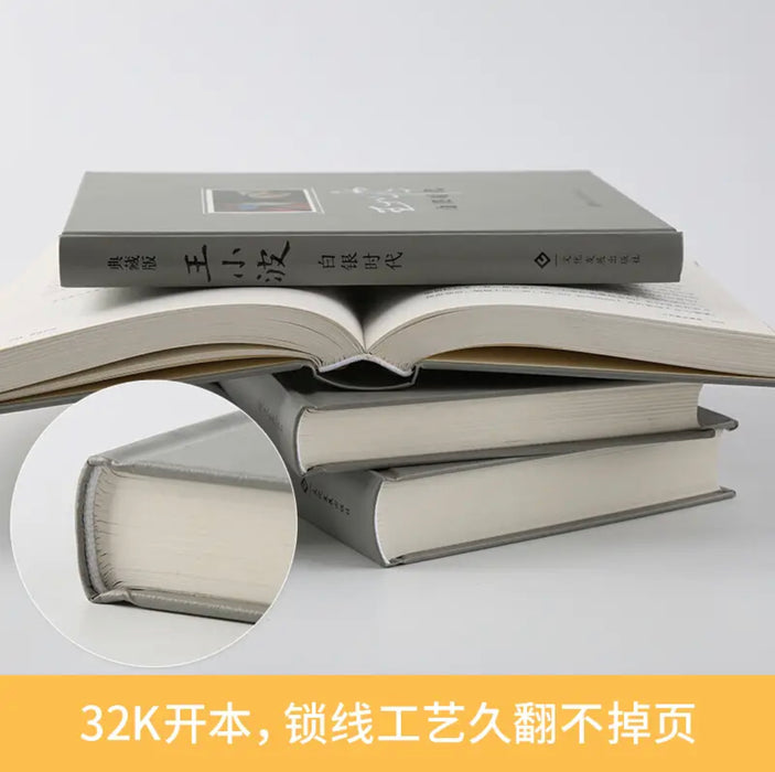 王小波：白银时代