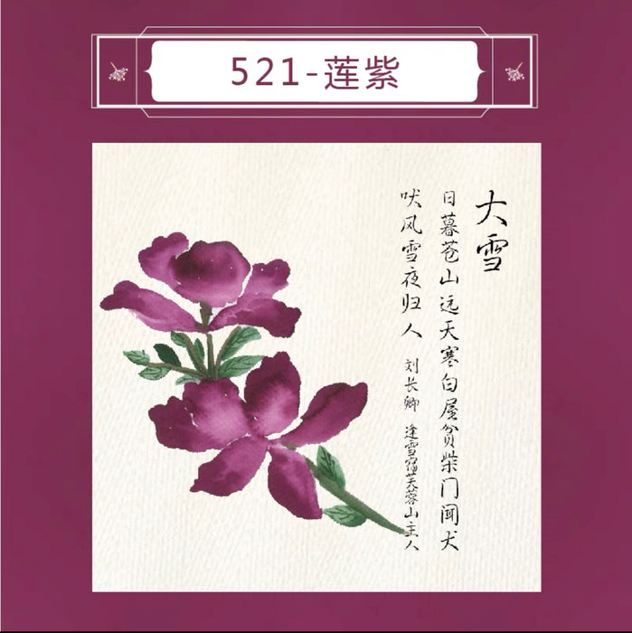 PENBBS INK 坛水二十四节气彩墨 35ml 莲紫 大雪