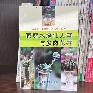 家庭水培仙人掌与多肉花卉