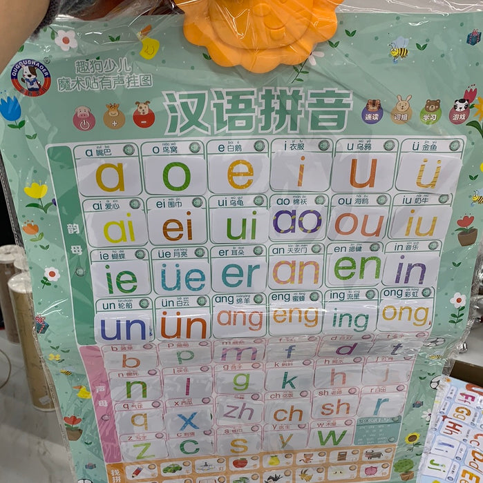 汉语拼音发声挂图