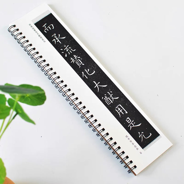 近距离字卡：虞世南《演连珠》