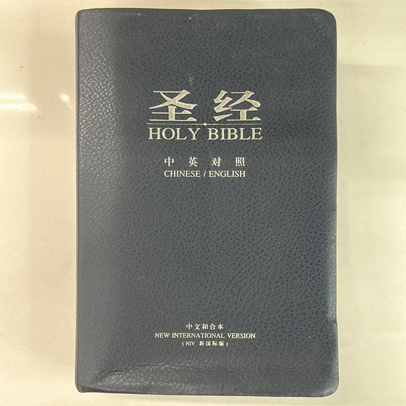 圣经 中英对照