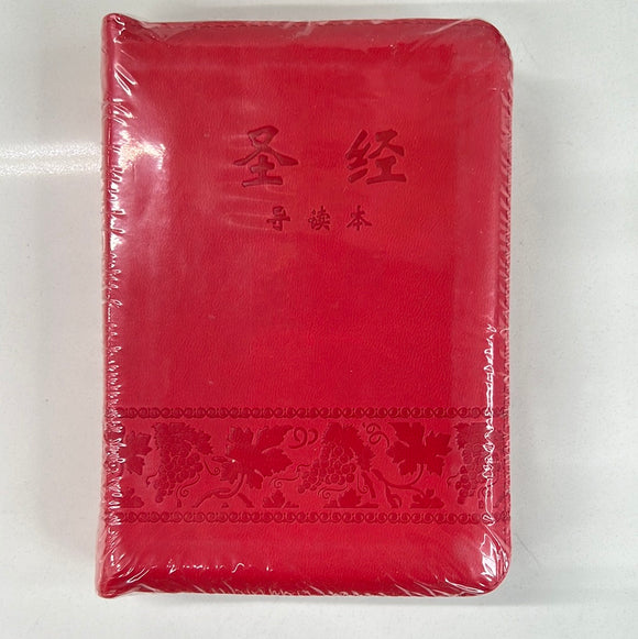 圣经 中文 导读本