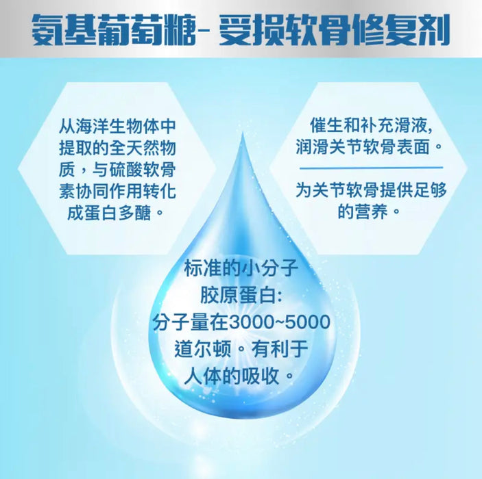 Hysen海森骨康宁 氨糖软骨素钙片