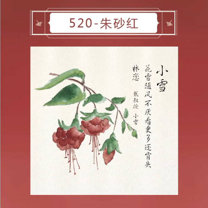 PENBBS INK 坛水二十四节气彩墨 35ml 朱砂红 小雪