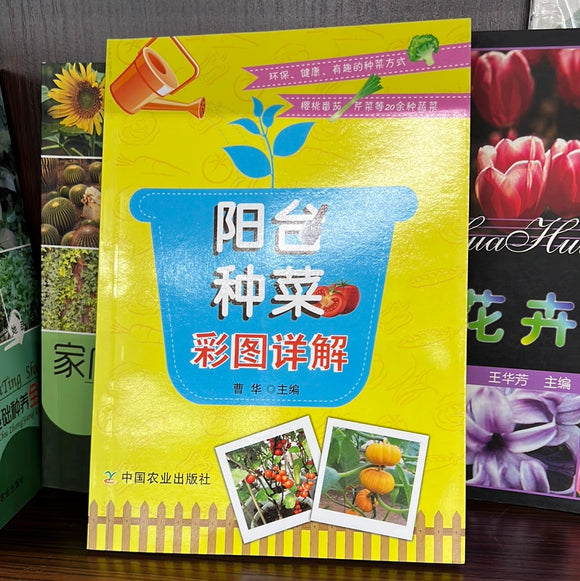 阳台种菜彩图详解