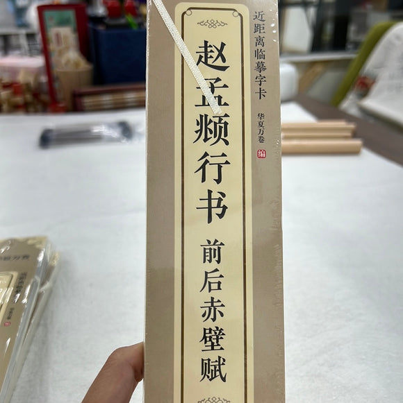 近距离临摹字卡：赵孟頫行书 前后赤壁赋