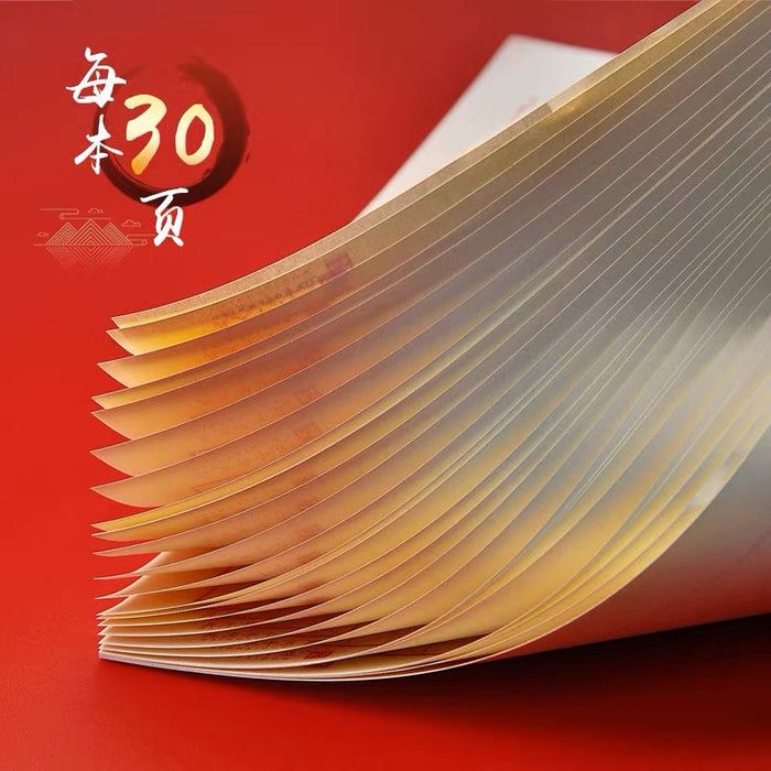 Practice Paper for Hard-tipped Pen Calligraphy 硬笔书法纸 30页