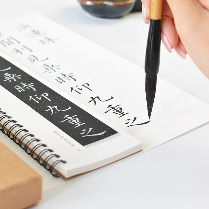 近距离字卡：虞世南《演连珠》