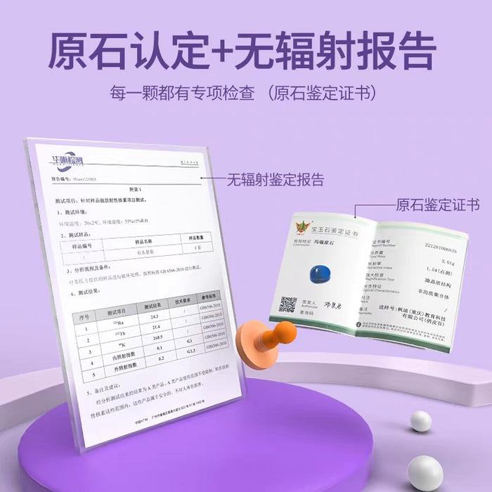 Archaeology Mystery Box地质考古盲盒 真化石 可复检