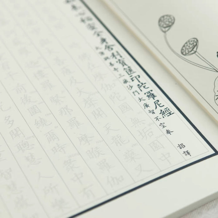 一切如来心秘密宝箧印陀罗尼 硬笔小楷描红