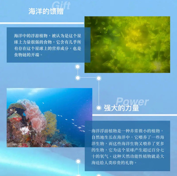 Hysen海森聚醣精华胶囊 增强免疫力180粒/瓶